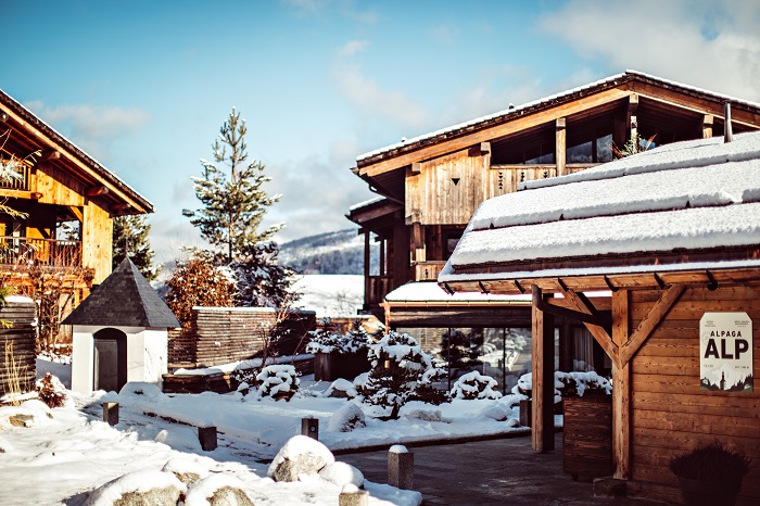 ����������� �����������